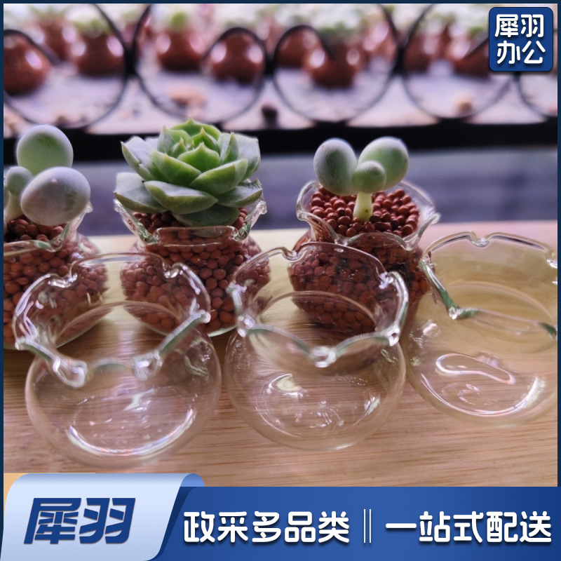 【多肉花盆迷你玻璃】花边鱼缸拇指盆高颜值花园阳台超萌可爱清新2.5*2cm多肉玻璃瓶