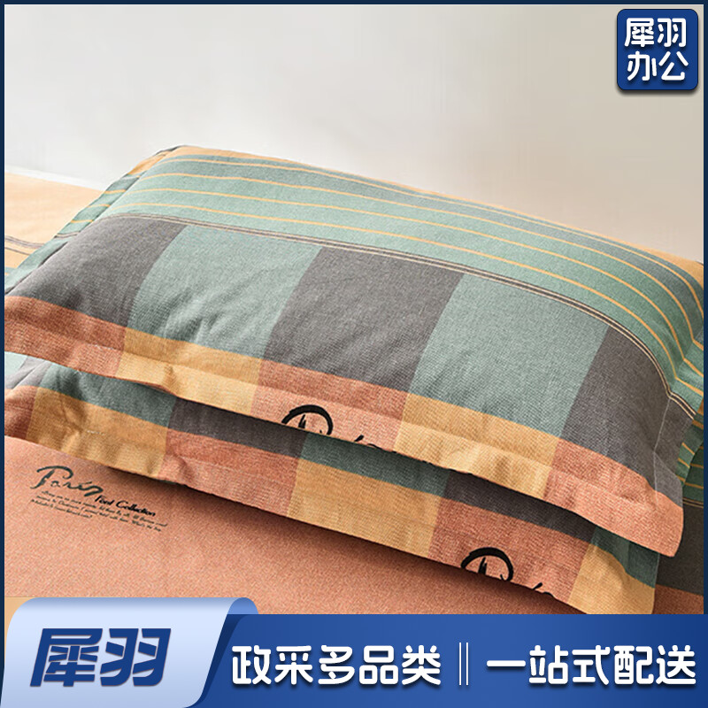 枕头+枕套（套）