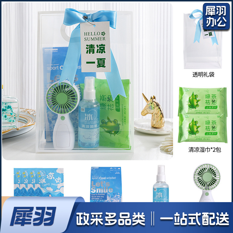 夏日防暑降温包套装礼品公司送员工福利夏季清凉礼包护士节(冰点套餐2（风扇+冰袖+清凉喷雾+湿巾+冰凉贴+吊牌）)
