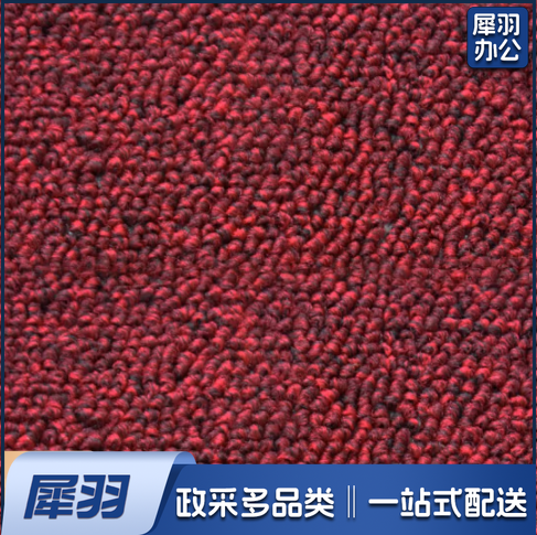 纯灰红色蓝色加密大圈绒满铺地毯办公室台球室健身房教室地毯 1平米价格(不含安装)