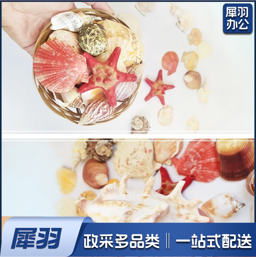 幼儿园DIY手工制品 贝壳套装 海洋品 混装 (袋装)