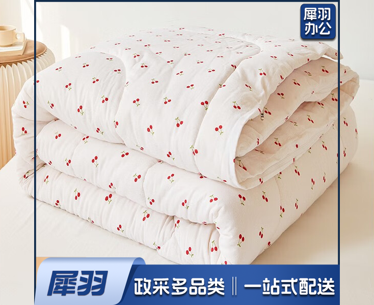 棉被3斤+被罩（套）