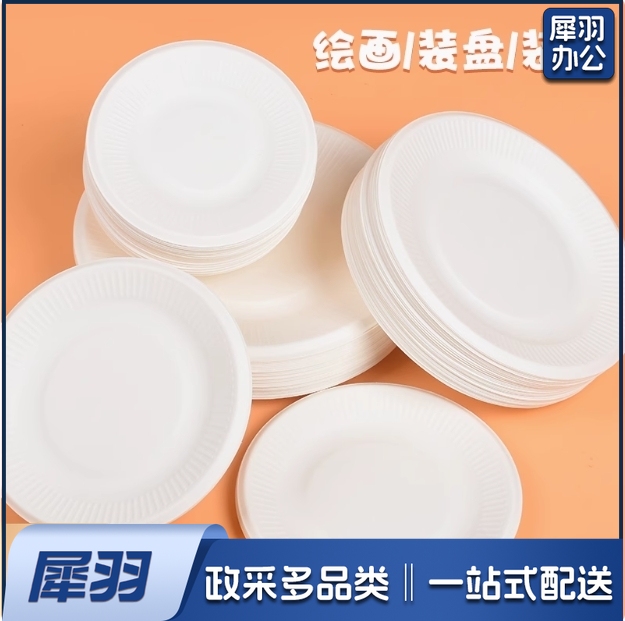 一次性餐盘纸盘画画手工diy制作材料幼儿园儿童绘画纸碟蛋糕盘子 7寸 200个装