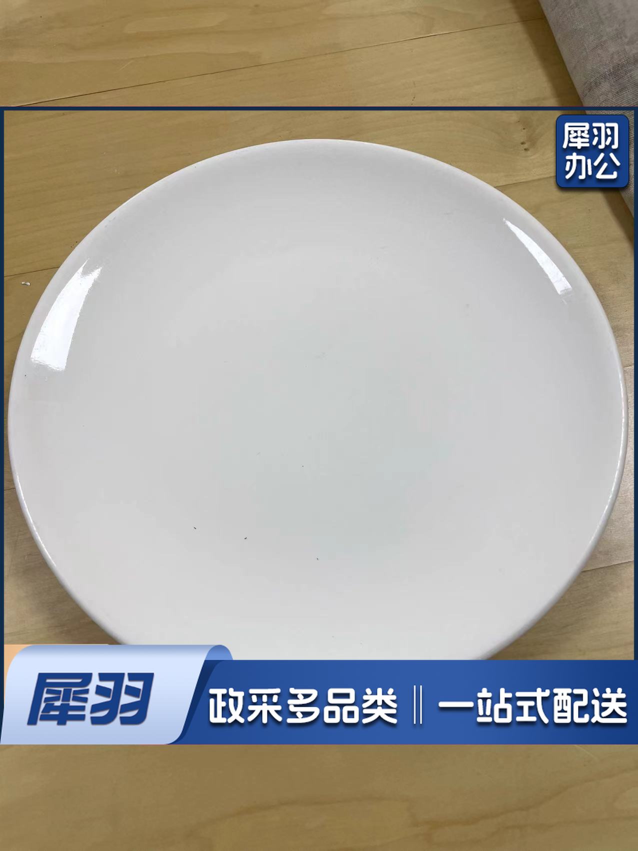 陶瓷餐具白瓷盘子(10英寸)（5只起售，偏远区域下单请电话咨询）