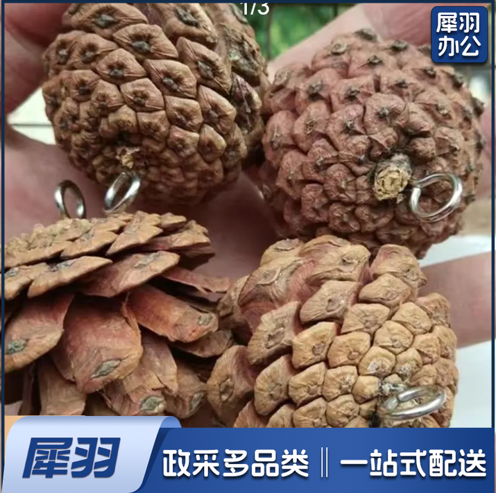 圣诞松果带钉松果天然手工圣诞装饰松果挂件摄影道具diy鹦鹉玩具