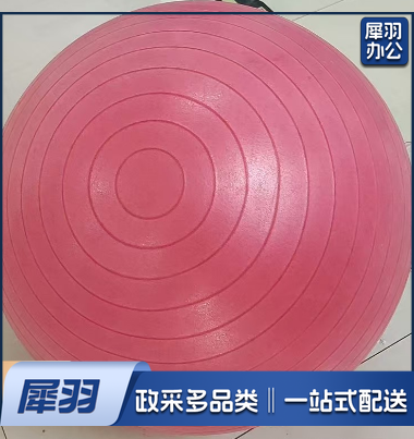 瑜伽球 75cm磨沙瑜伽球 承重200斤
