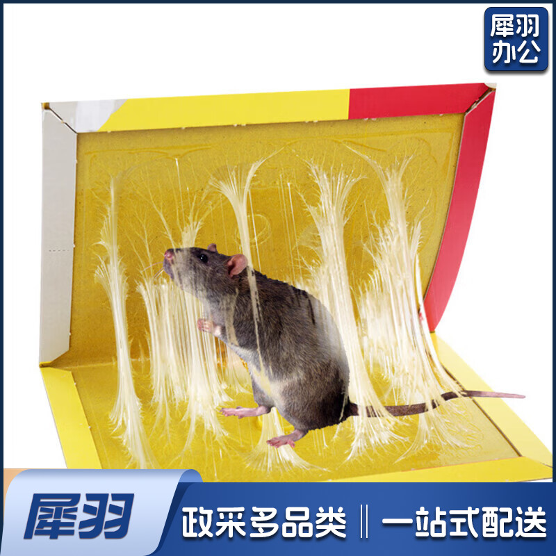 强力粘鼠板10片老鼠贴超强力粘板加厚灭鼠老鼠一窝端神器家用黏鼠