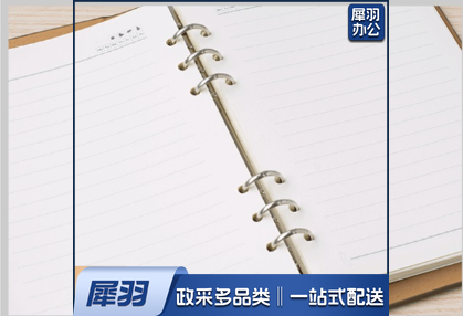 A5活页纸 可替换内芯 学习笔记本活页内芯