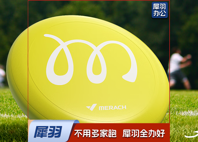 竞技比赛专业回旋飞盘