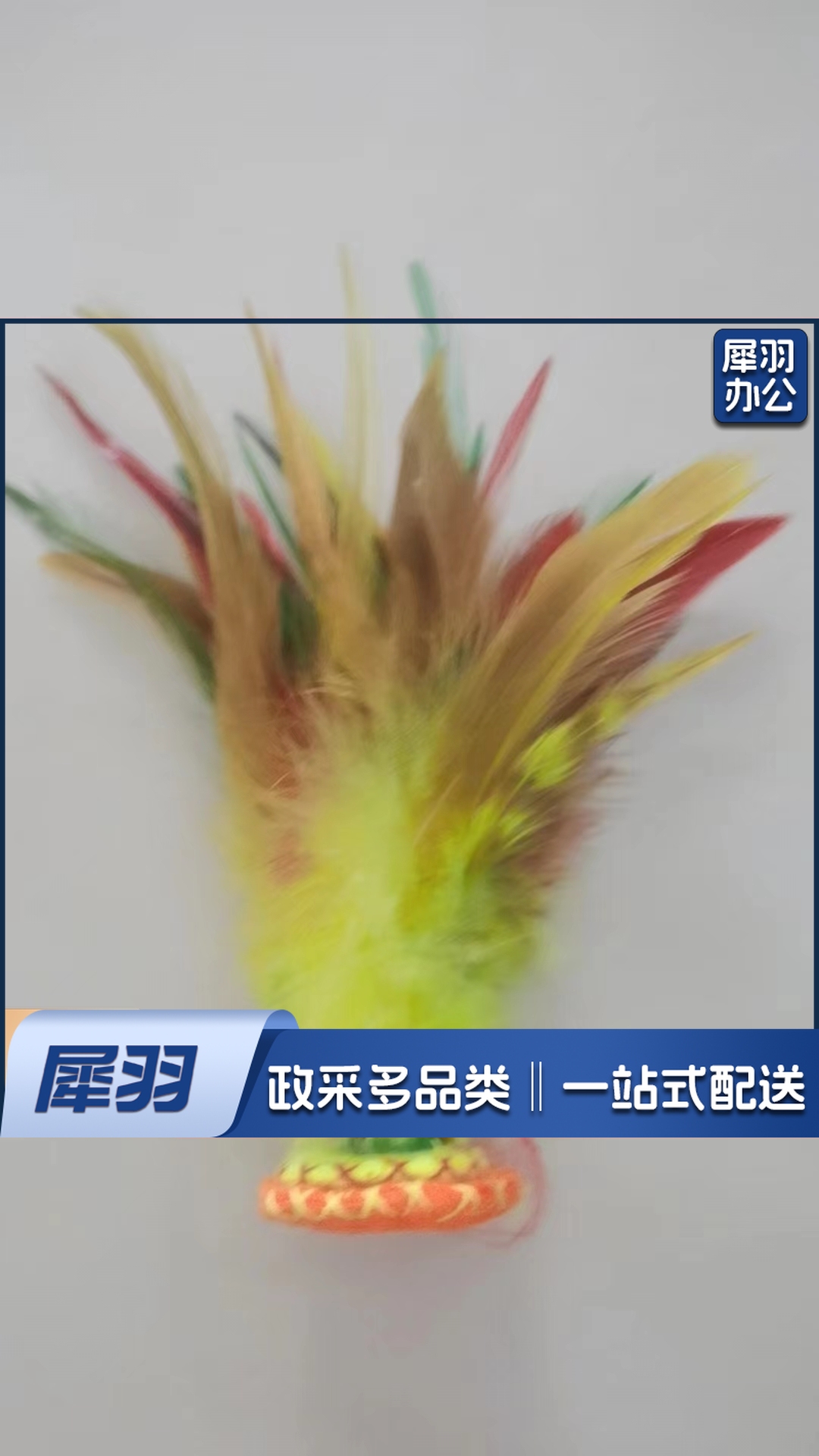 毽子 软毛 鸡毛毽子 学生毽子