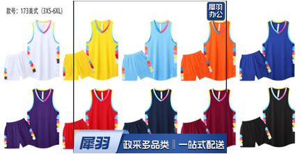 篮球服球服可定制无袖美式篮球服套装男女同款（颜色可选）