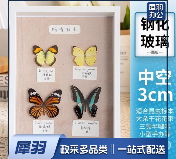 中空相框摆台手工昆虫标本盒立体展示框A   4寸(内径21*29.7cm)白色(中空3cm)