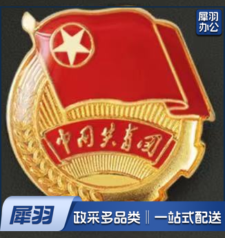 团徽徽章 加厚 标准型团徽 正版 背面带 共青团中央监制字样(别针款 磁扣款 可选)10个一套，整套出售