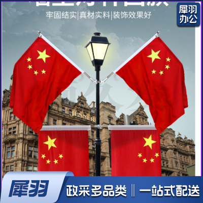 中国五星红旗国旗带杆户外串旗壁挂斜插式旗杆 门口家里店铺商场装饰马路路灯挂旗 【国旗串旗2条】8号国旗100面（约30米）紧密款