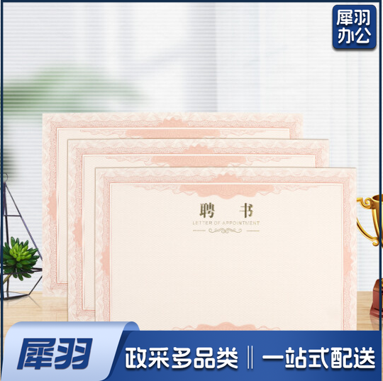 12K 聘书内芯 荣誉证书内芯 (十张起订)