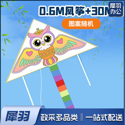 手绘风筝手工diy材料包绘画涂鸦儿童卡通玩具春季户外出游活动（填色风筝【0.6m】+30m线）