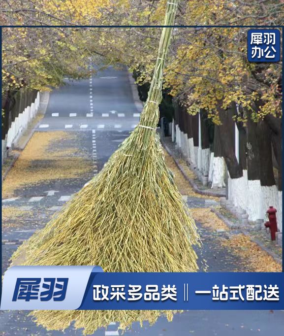 院子大扫把净苗扫把