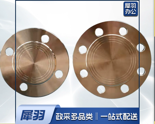 法兰盲板国标 不锈钢 DN250(含开孔)
